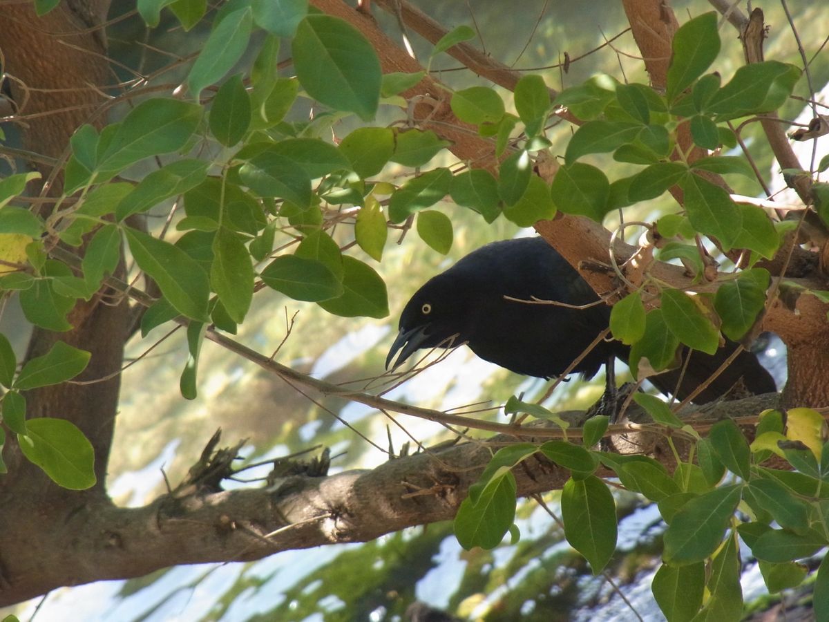 真っ青なカリブ海が広がるカンクン
カンクンから日帰りで行けるチェチェンイツ...