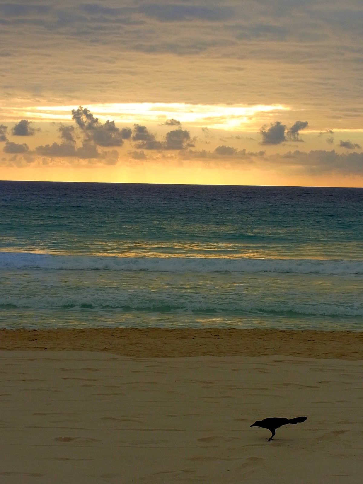 真っ青なカリブ海が広がるカンクン
カンクンから日帰りで行けるチェチェンイツ...