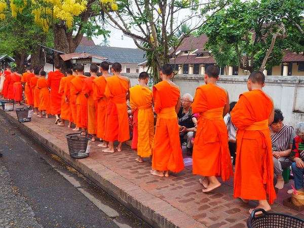 ラオス人民民主共和国・ルアンパバーン「ラオス  古都ルアンパバーン でのんびり」の写真：夜明けと共に始まる托鉢
托鉢のあとはホテ...