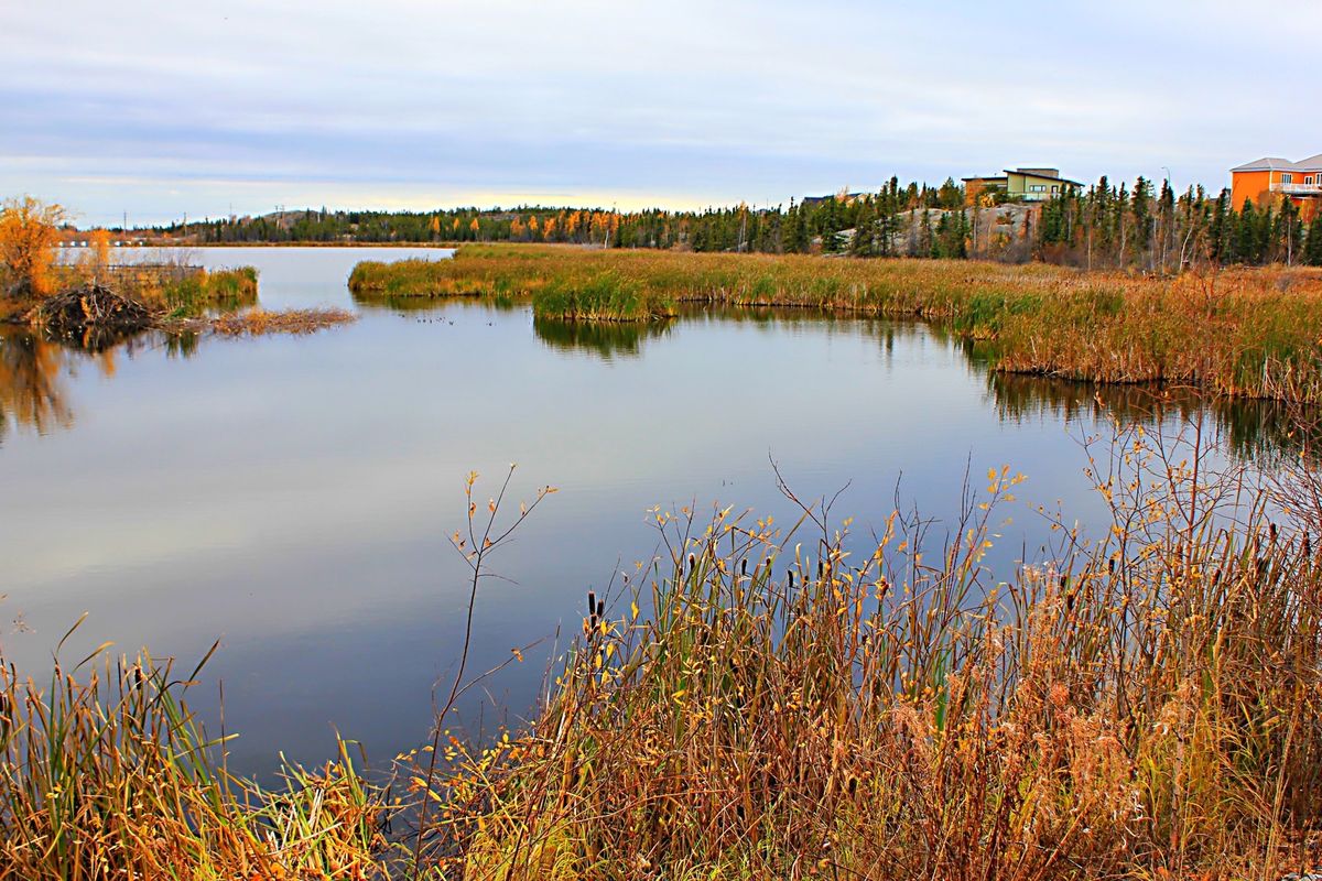 イエローナイフでオーロラハント
イエローナイフでは秋にもオーロラに出会えます