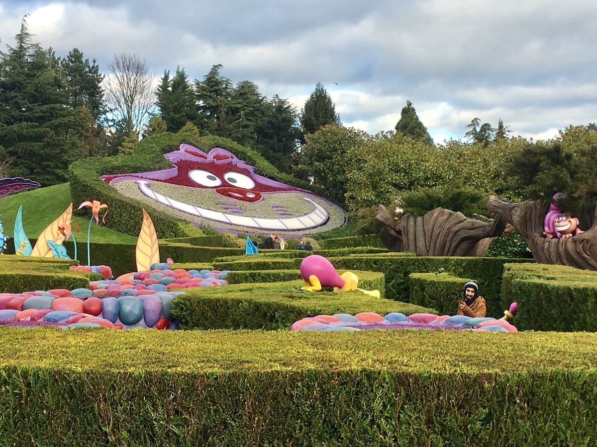 ディズニーランド・パリ。
帰りの電車が何故かずっと来なくてホームに人で溢れ...