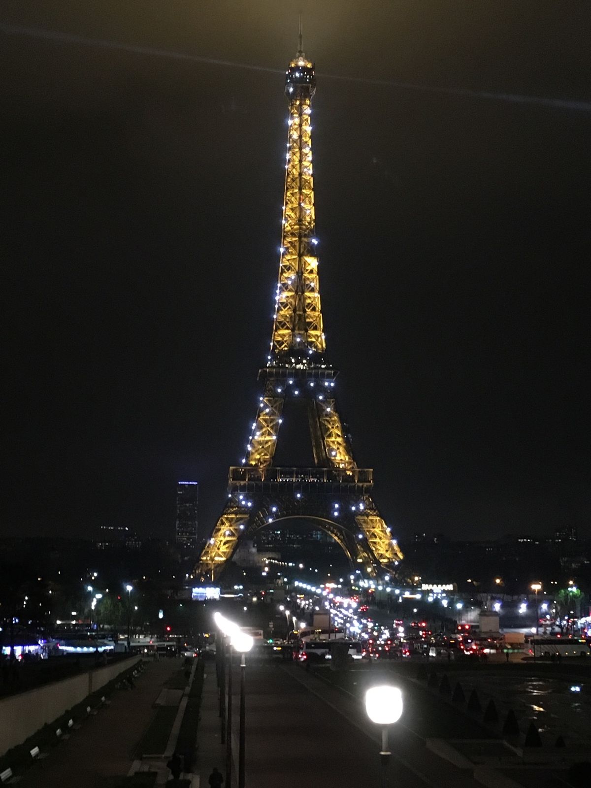 エッフェル塔。色がないところが特に好き。
夜になるとキラキラ。クリスマス前...