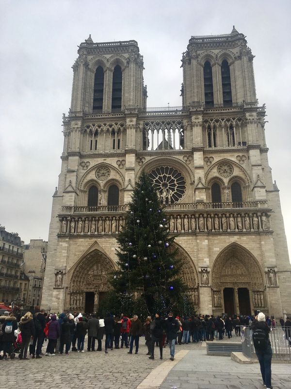 フランス「ボン　ボヤージュ！France」の写真：ノートルダム大聖堂。燃えてしまったニュー...