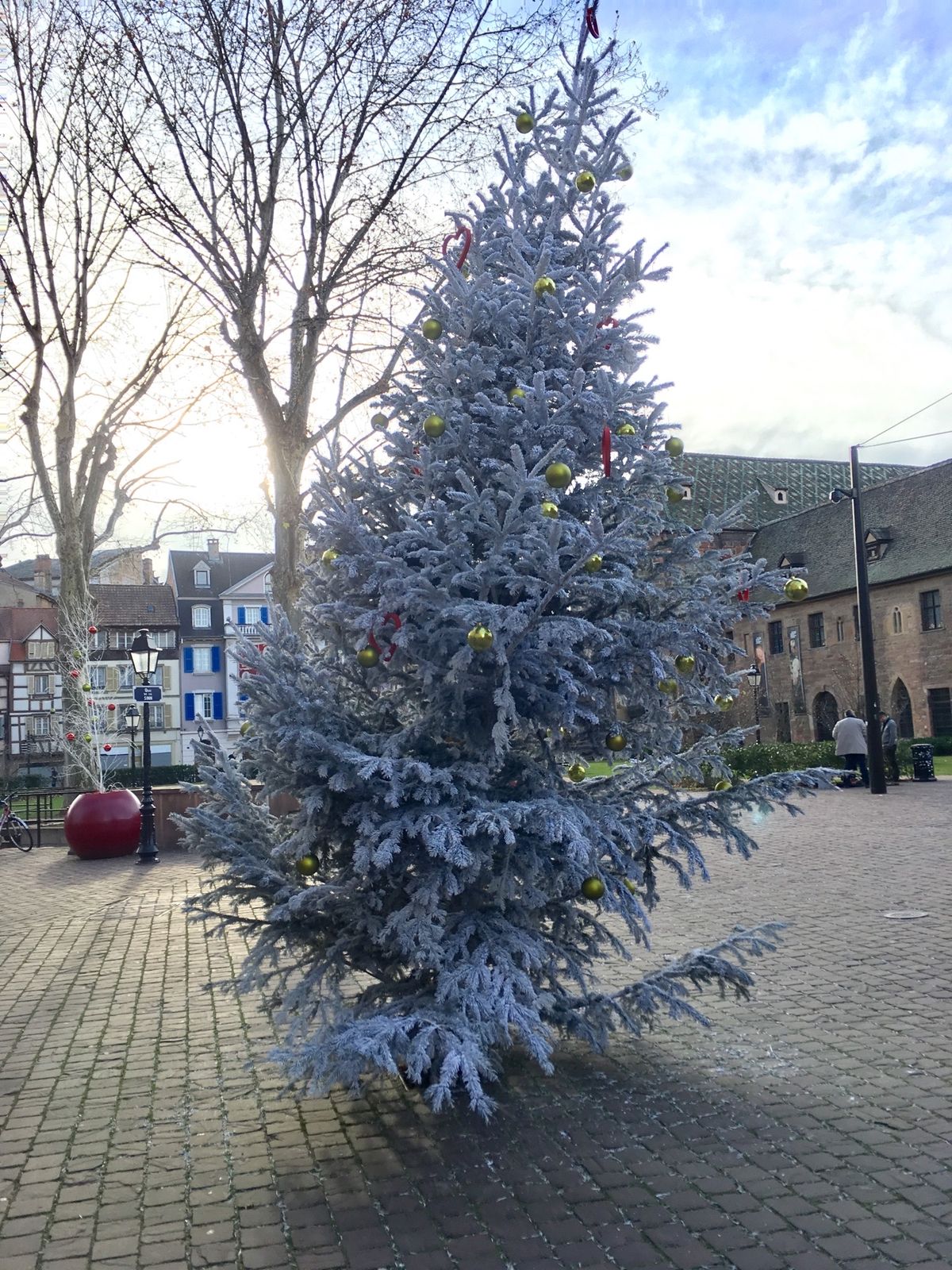 コルマール。
ドイツ国境付近だからかドイツの文化が見られる。コルマールあた...