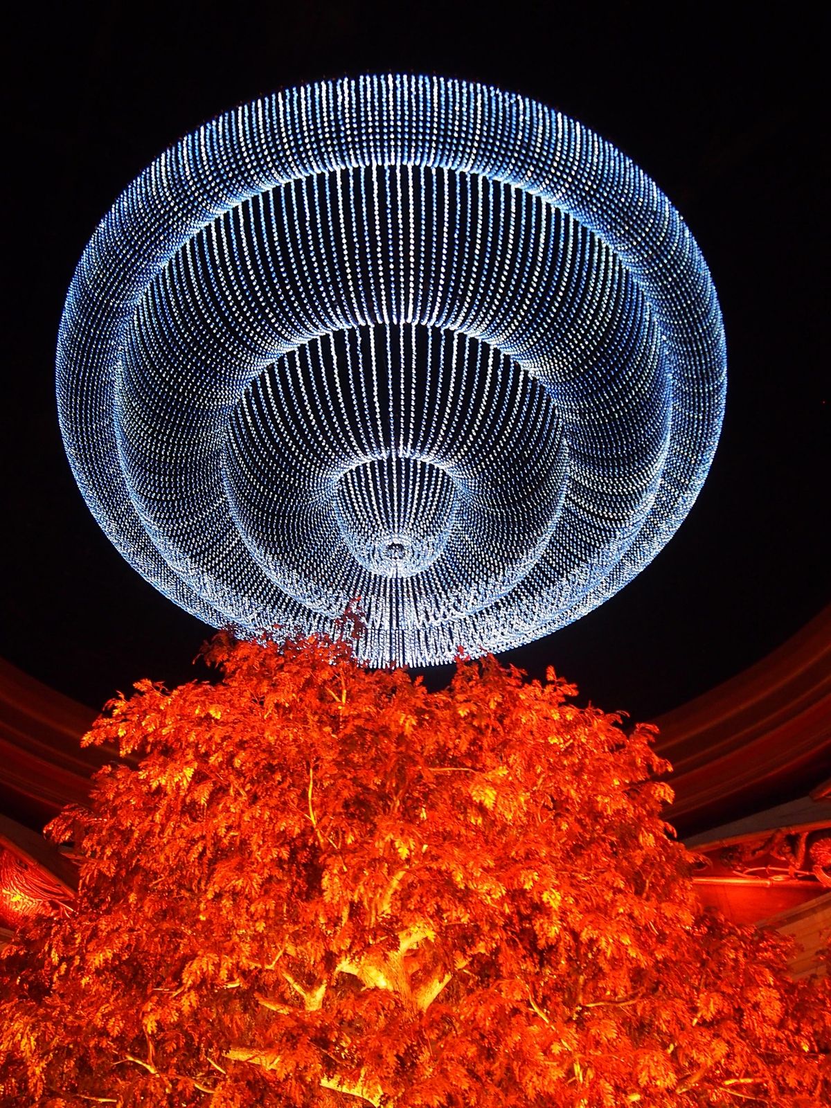 ドッグレース場は人も少なく、哀愁漂う独特の空間でした