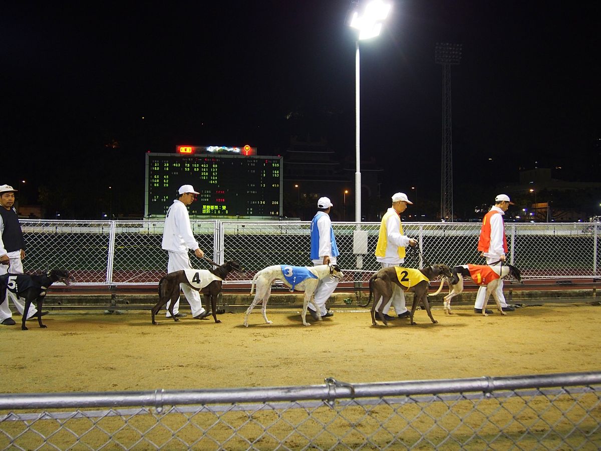 ドッグレース場は人も少なく、哀愁漂う独特の空間でした