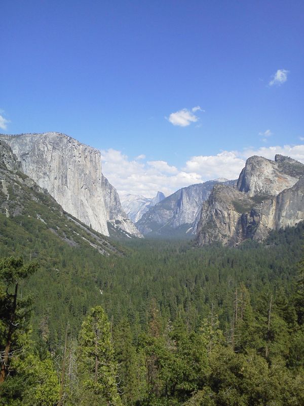 アメリカ(米国)・ロサンゼルス　「アメリカ」の写真