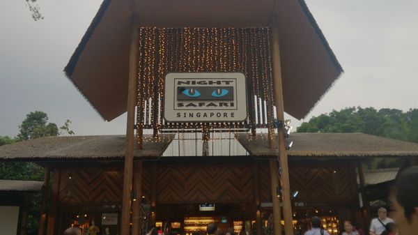 シンガポール・シンガポール　「シンガポール」の写真