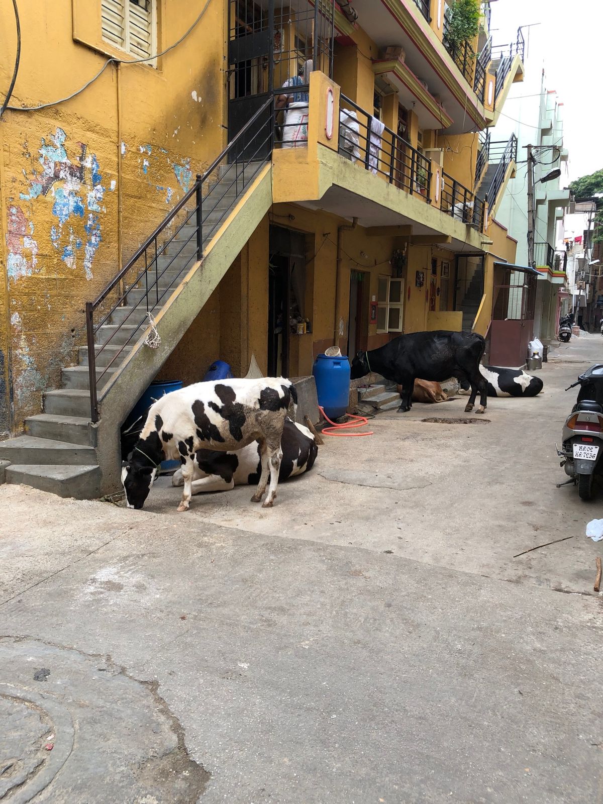 お祭りかなー、それにしても人が多い。
ビールはインドでも美味しい。
住宅街...