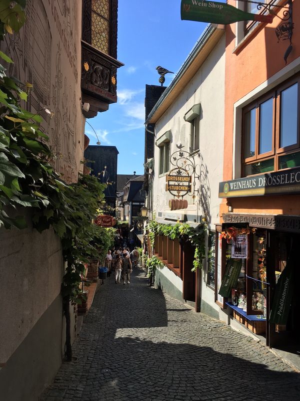 ドイツ「帰省」の写真