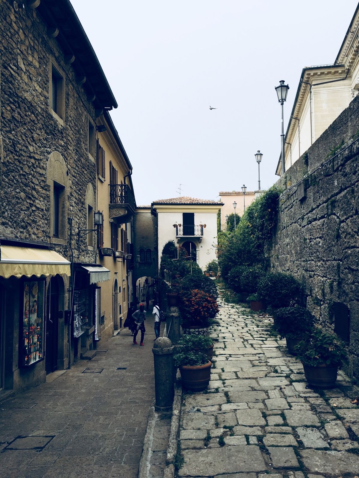 見ず知らずの外人さんにお花貰いました💐