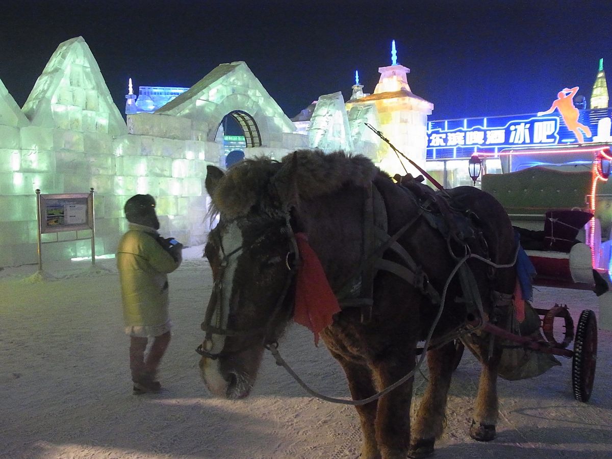 哈爾濱
街の中央にあり街のシンボルにもなっている聖ソフィア教会
氷祭りはラ...