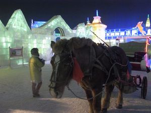 哈爾濱
街の中央にあり街のシンボルにもなっている聖ソフィア教会
氷祭りはラ...