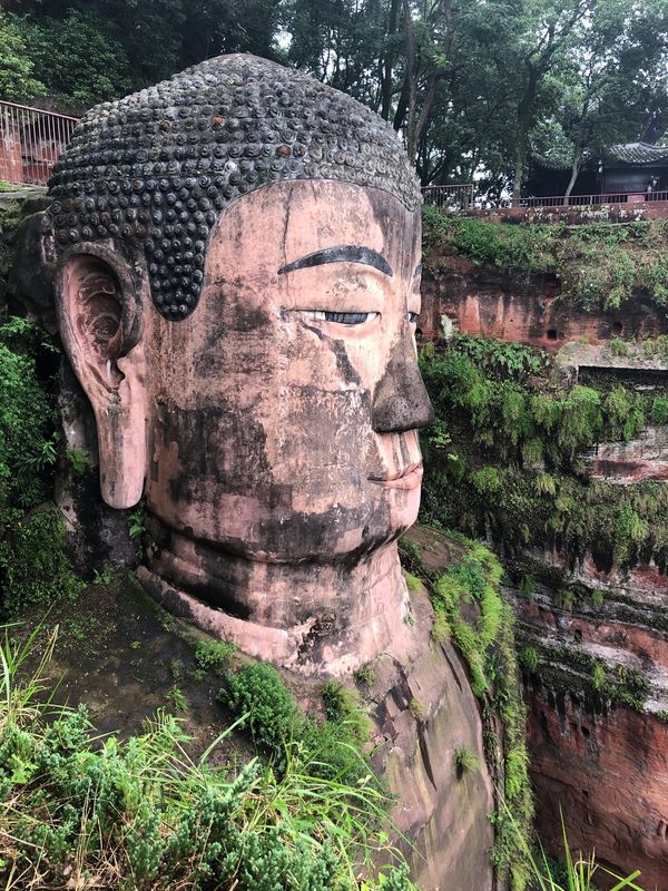 中国・成都「成都、閬中、楽山」の写真：楽山