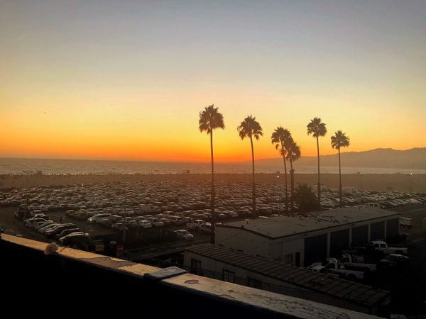 「LA🇺🇸」の写真