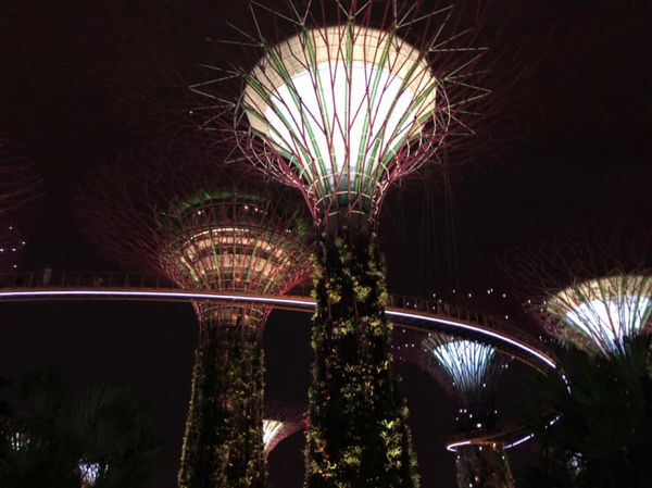シンガポール・マリーナベイサンズ「シンガポール4日間」の写真