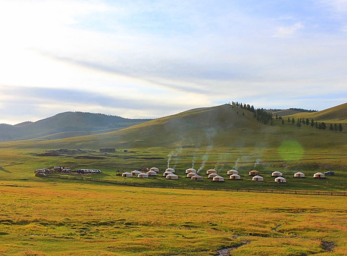 動物たちはみな可愛いですが、ヒツジの赤ちゃんの可愛さは圧倒的です🐑
オルホ...