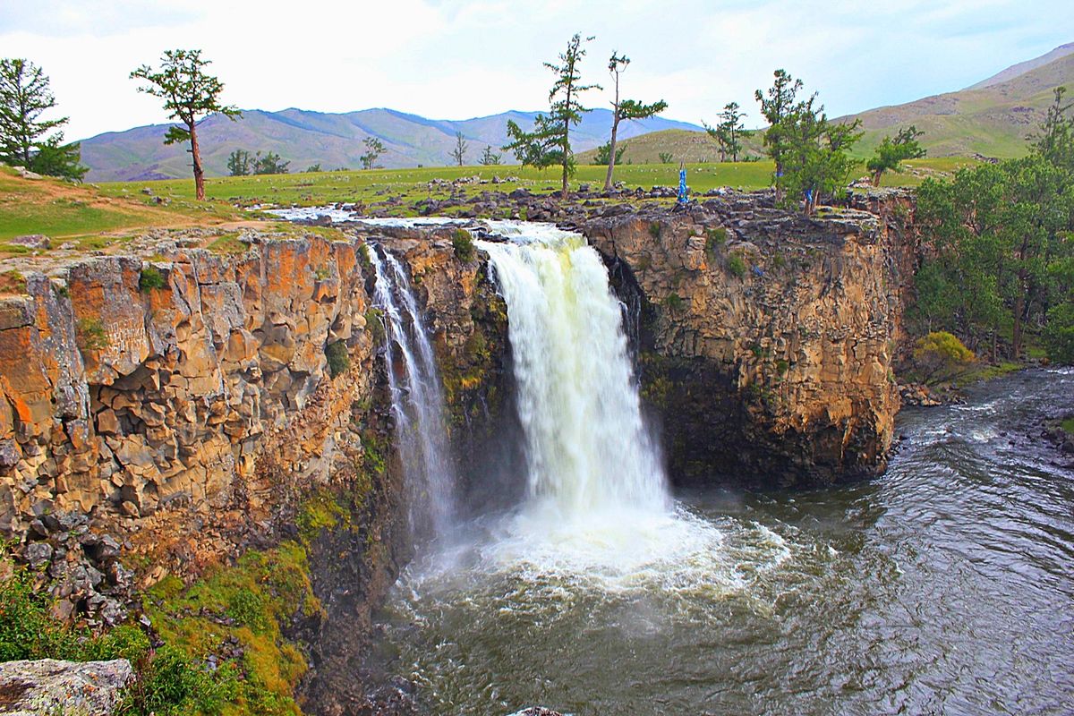 動物たちはみな可愛いですが、ヒツジの赤ちゃんの可愛さは圧倒的です🐑
オルホ...