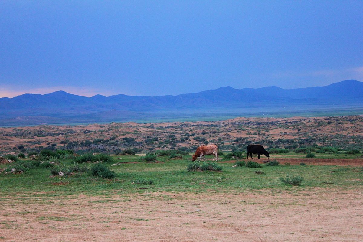 ツアーで活躍するのはロシア製のワゴン車で、どんな悪路も乗り越えていきます
...
