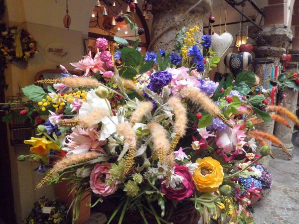 チェコ共和国「チェコ」の写真