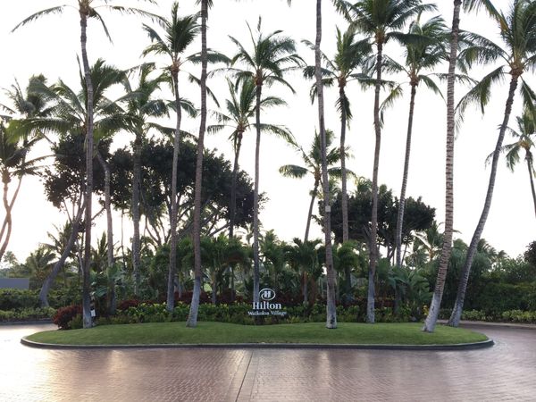 アメリカ(米国)・ハワイ「2016 オアフ島とハワイ島」の写真：ヒルトン ワイコロア ヴィレッジ