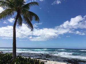 よさげな景色