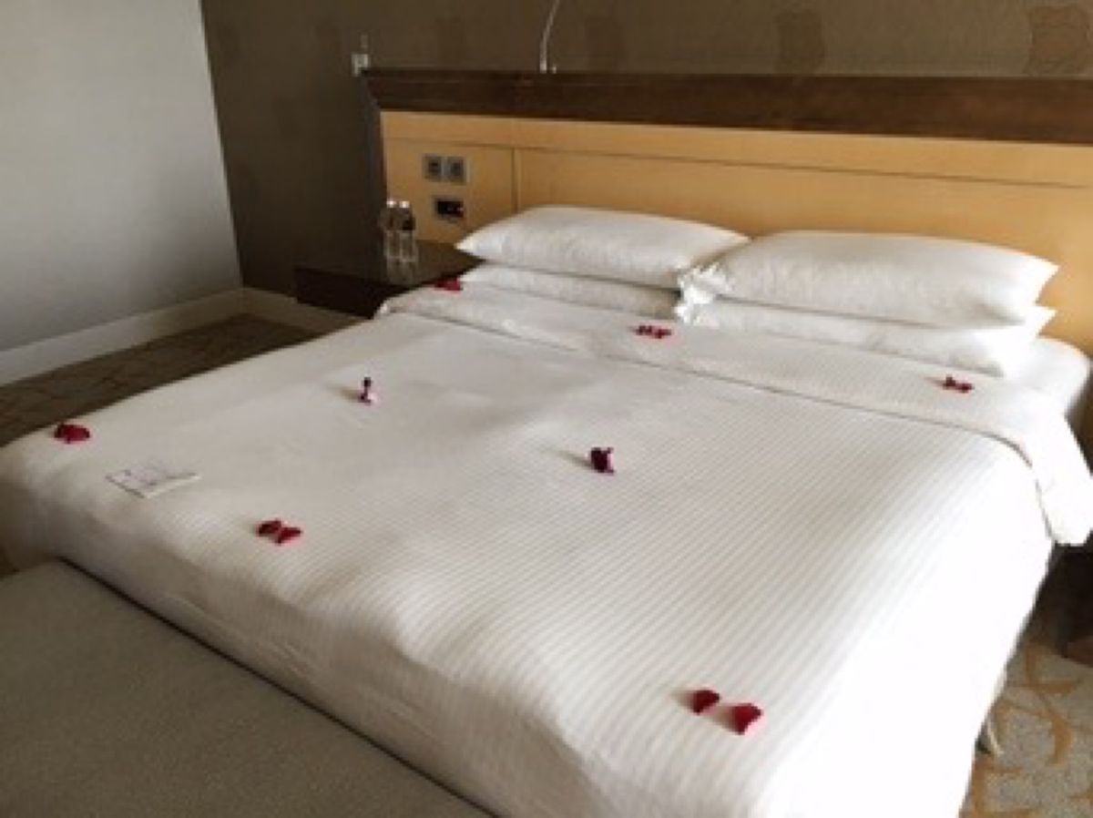 マリーナベイサンズ  