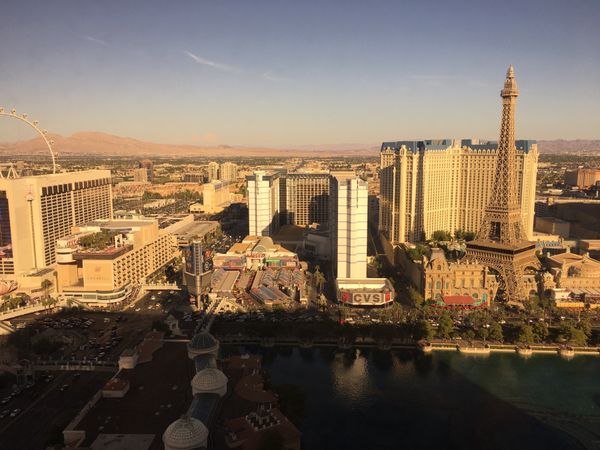 アメリカ(米国)・ロサンゼルス「2016 アメリカ西海岸」の写真：ベラージオ