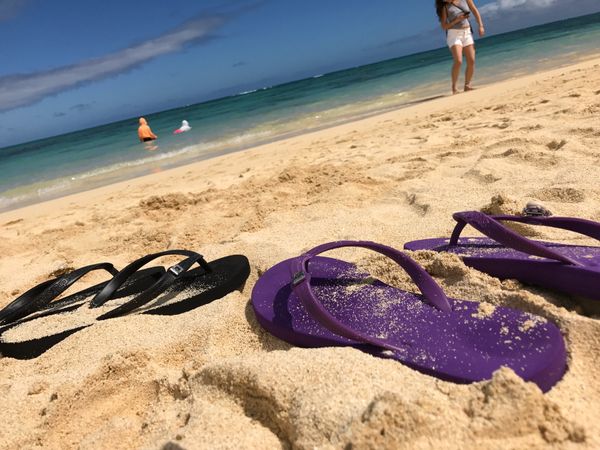 アメリカ(米国)・ハワイ「2017 ハワイ」の写真：スクーターデビュー、ハワイ大学の学食
ハ...