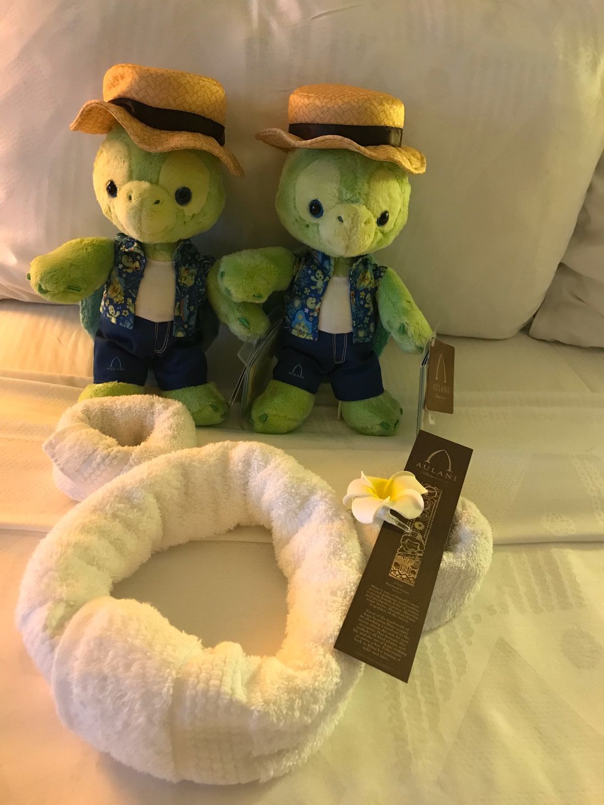 アウラニディズニーにも宿泊♡