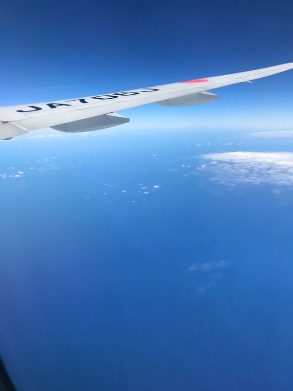 アメリカ(米国)「母と2人旅 inハワイ♡」の写真：アウラニディズニーにも宿泊♡