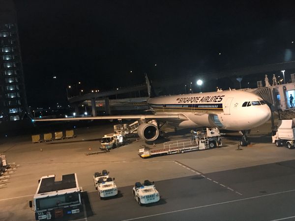 シンガポール「シンガポール」の写真