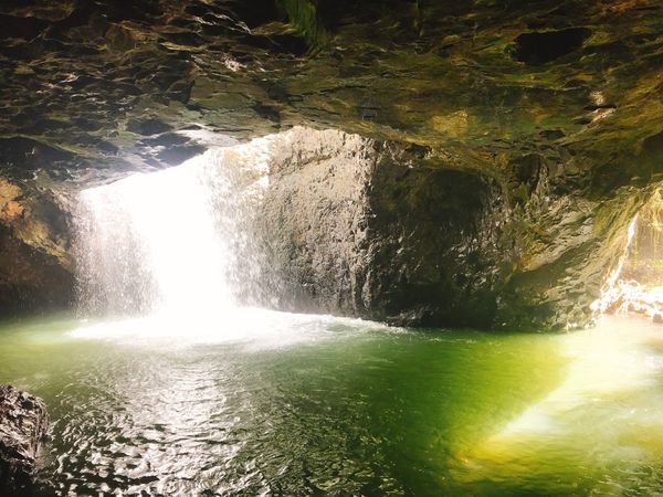 オーストラリア連邦・ゴールドコースト「2018 ゴールドコースト」の写真：おすすめ観光地② 「スプリングブルック国...