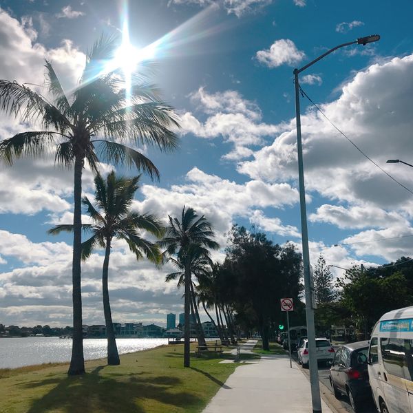 オーストラリア連邦・ゴールドコースト「2018 ゴールドコースト」の写真：おすすめ観光地④「Bumbles caf...