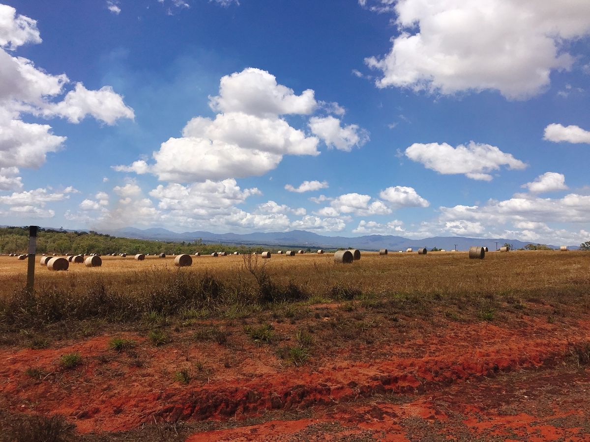ケアンズの郊外をドライブ！
・ポードダグラス
・SKYBURY
・HUMPY