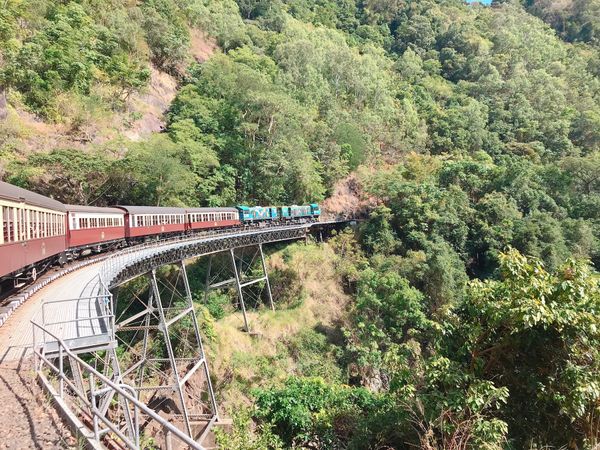 オーストラリア連邦・ケアンズ「2018 ケアンズ 」の写真：キュランダ鉄道でキュランダ村へ(´▽｀)...