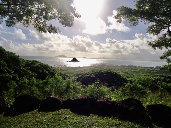 アメリカ(米国)・ハワイ「はじめての海外家族旅行」の写真