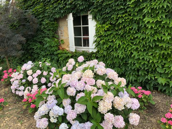 フランス・パリ　「フランスへ」の写真：メイエ村の教会で。