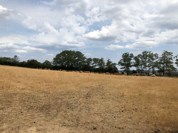 フランス・パリ　「フランスへ」の写真：メイエ村