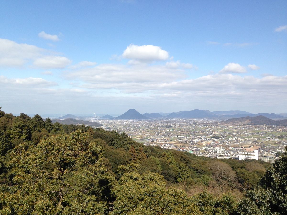 高知、愛媛、香川