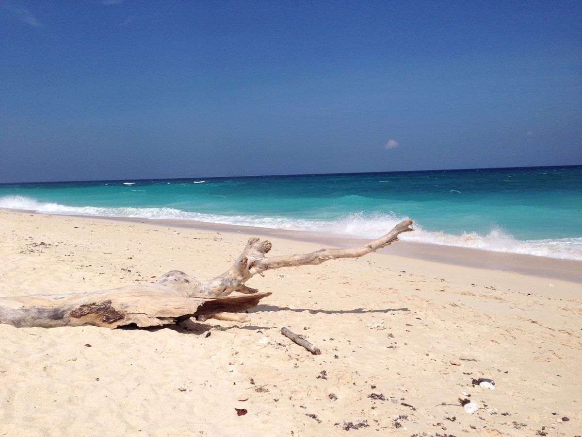 白い砂と青い海