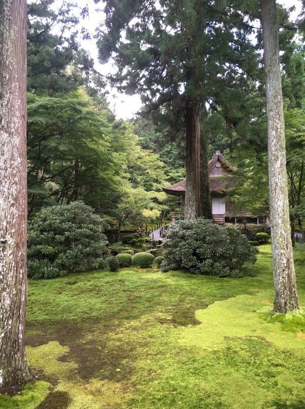 日本「京都旅行」の写真