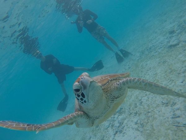 日本「沖縄本島」の写真