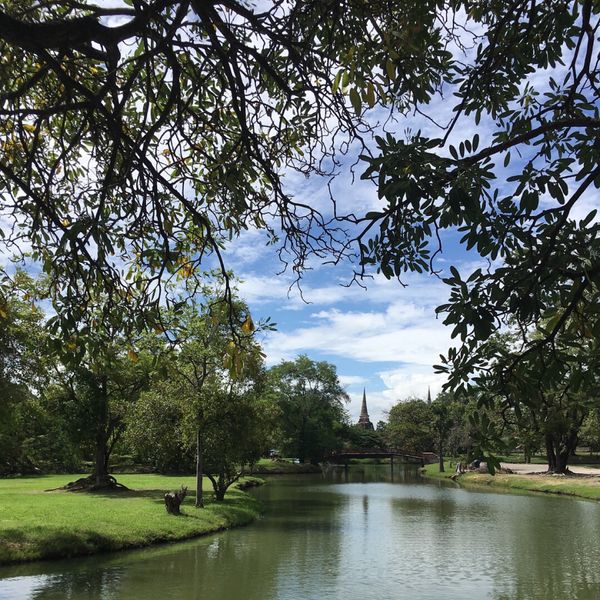 タイ・アユタヤ「タイヘ」の写真