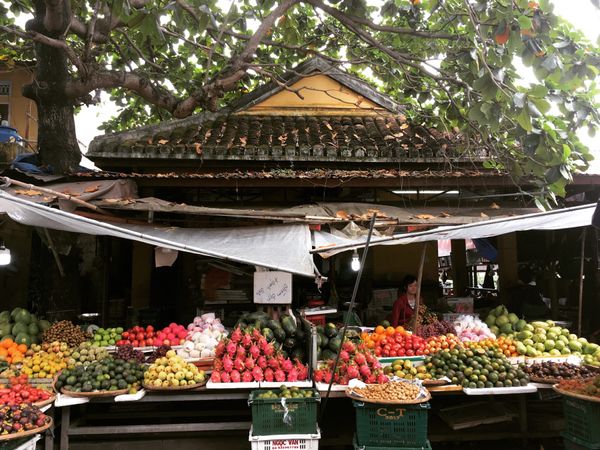 ベトナム・ダナン「ベトナムへ」の写真