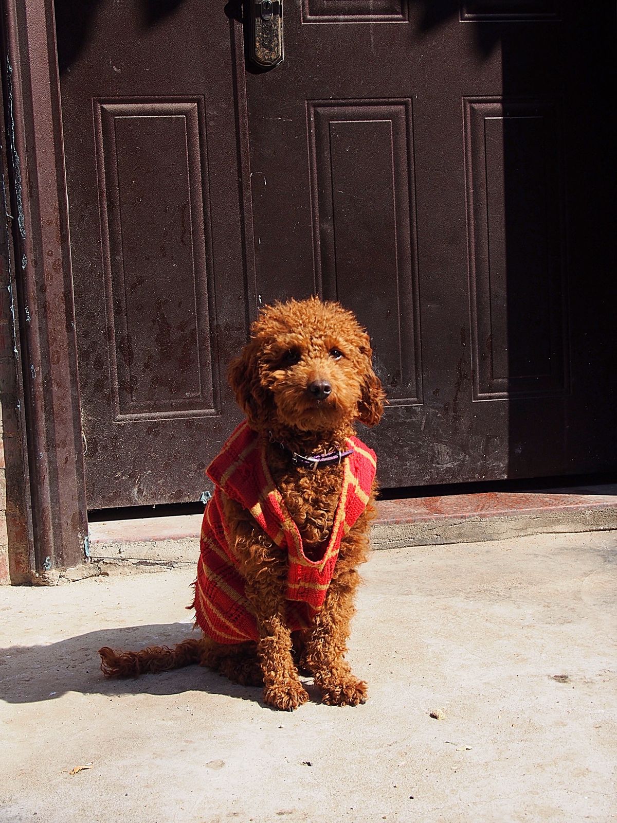 コロンス島
この小さな島は所狭しと様々な趣の建物で埋め尽くされています
高...