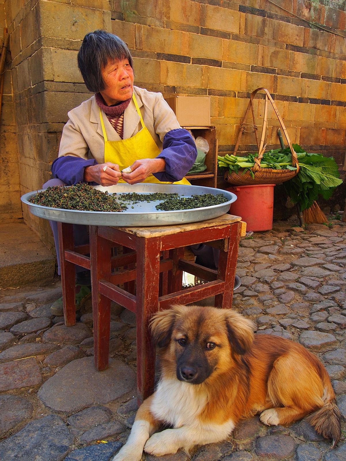 永定土楼
アモイからバスに揺られて数時間、永定土楼にやってきました
永定に...