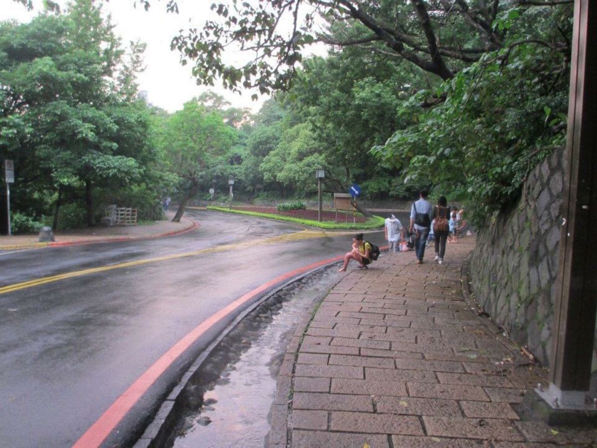 有名な観光地なのに大雨で人がいなかった…
台湾にもあった足湯。雨が止んだ隙...