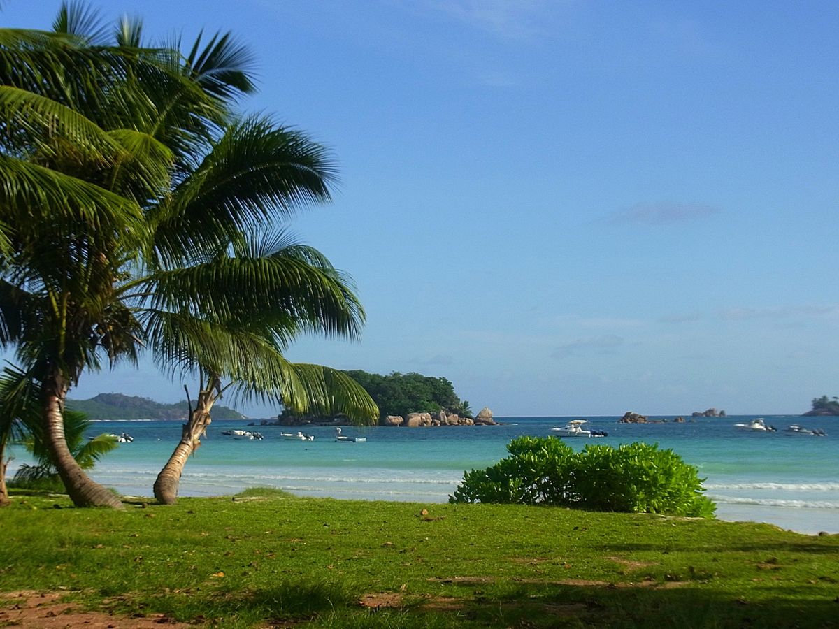 セーシェルのメインアイランドは首都ヴィクトリアのあるマヘ島
世界最大の種子...