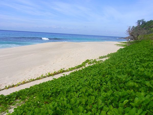 セーシェル「セーシェル　インド洋の真珠と呼ばれる島」の写真：セーシェルのメインアイランドは首都ヴィクトリ...